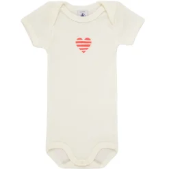 5 BODIES US MC