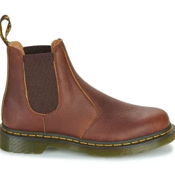 2976 CASHEW AMBASADOR