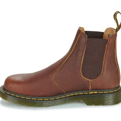 2976 CASHEW AMBASADOR