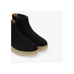 - PALLAS ZIP BEETLE W