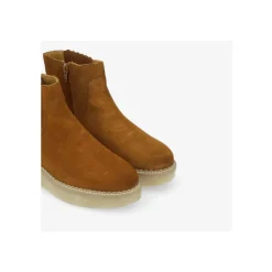 - PALLAS ZIP BEETLE W