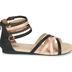 AED009