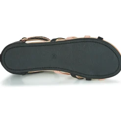 AED009