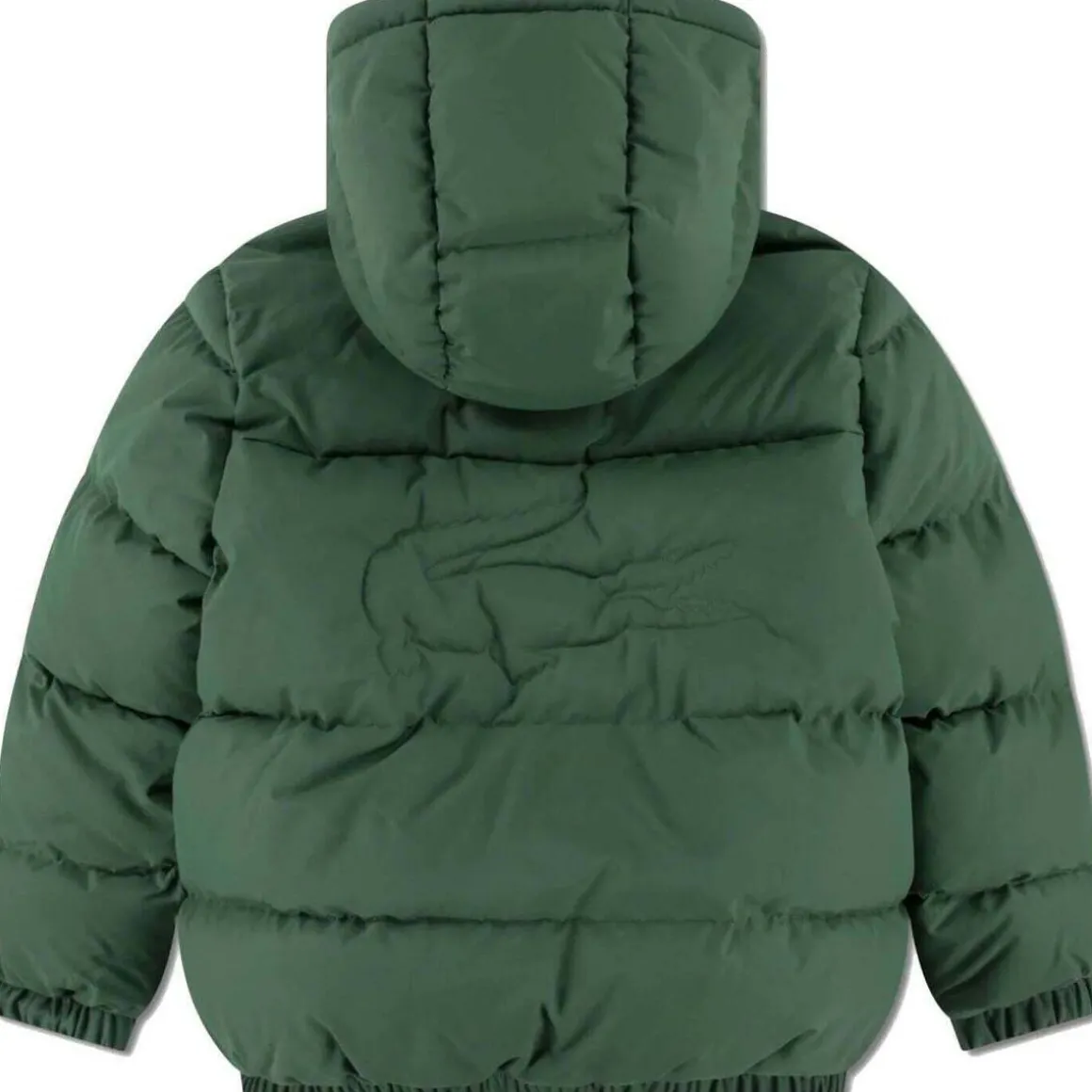 Blousons Lacoste 10150503612755VERDE
