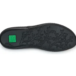 CORAL N5310
