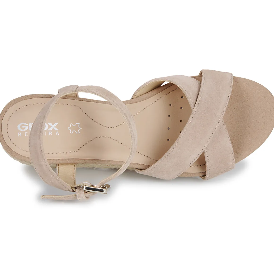 D ISCHIA CORDA
