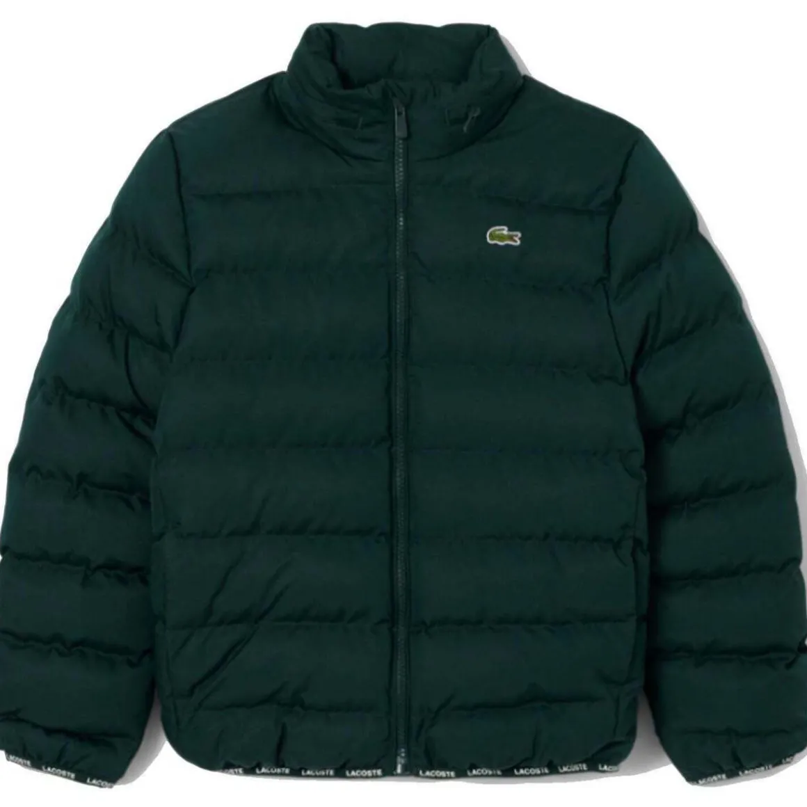 Doudounes Lacoste 10150503055699VERDE
