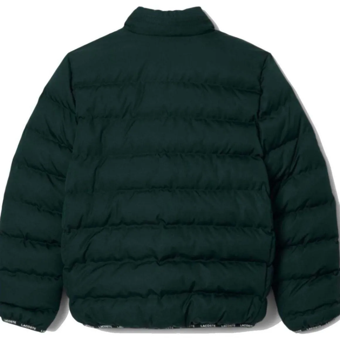 Doudounes Lacoste 10150503055699VERDE