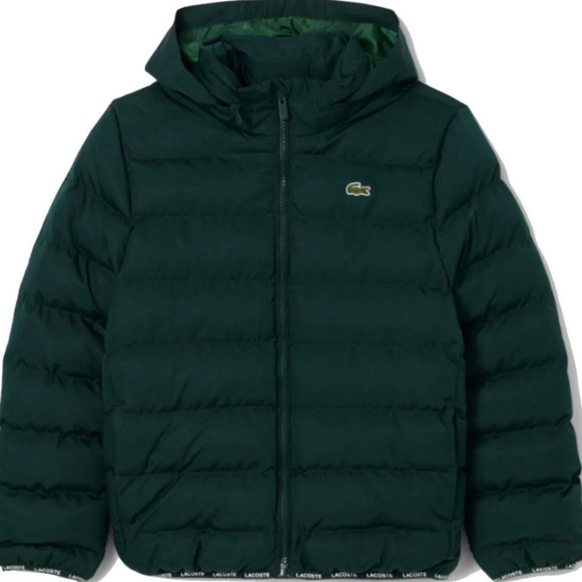 Doudounes Lacoste 10150503055699VERDE