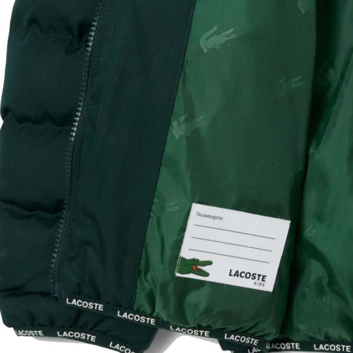 Doudounes Lacoste 10150503055699VERDE
