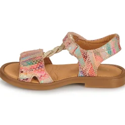 FARENA