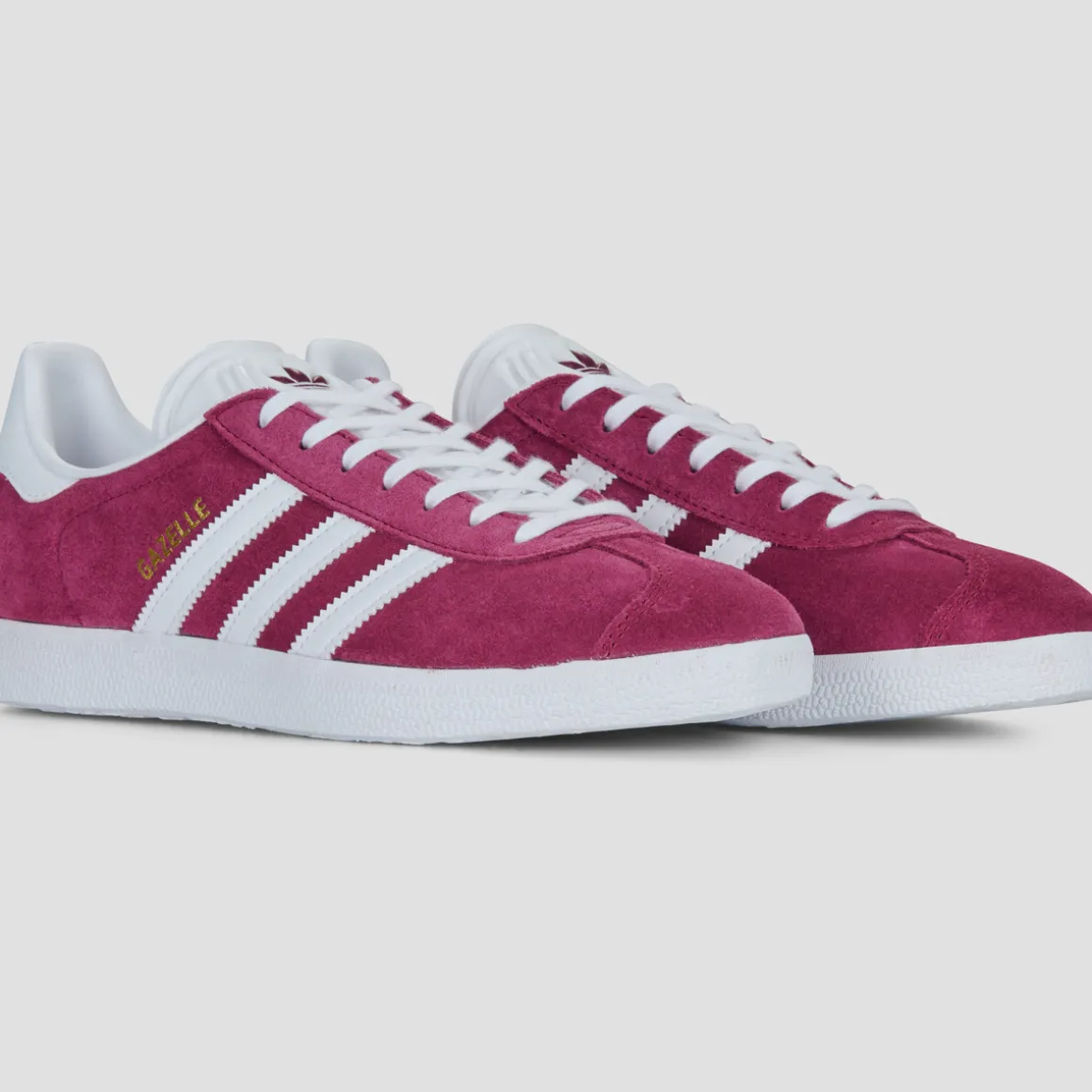 GAZELLE