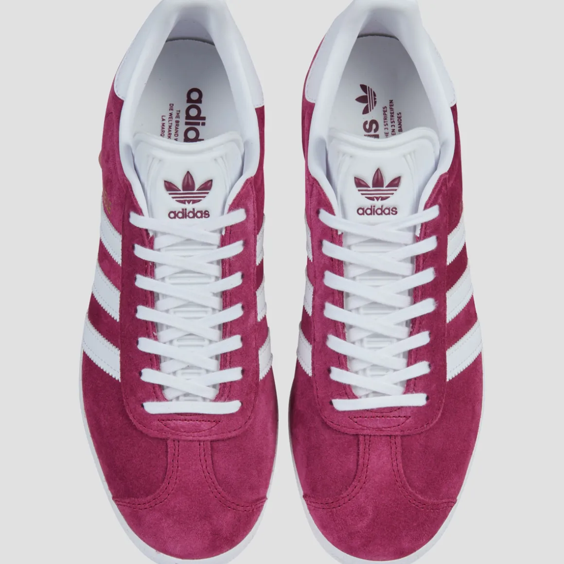 GAZELLE