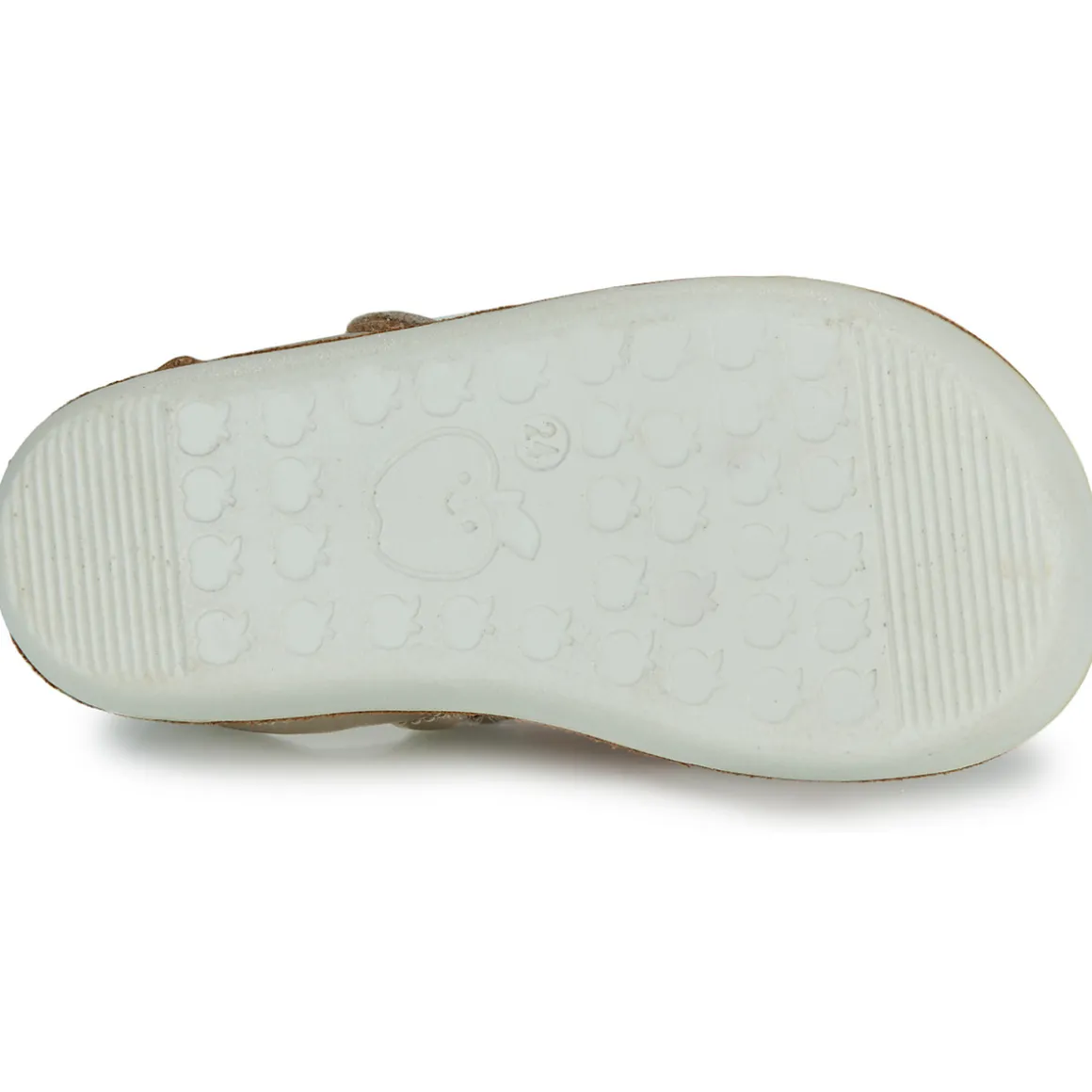 GOA SALOME