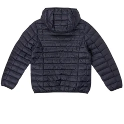 HUGO