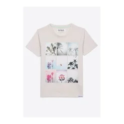 Junior - Tee Shirt - gris