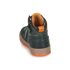 LANDER