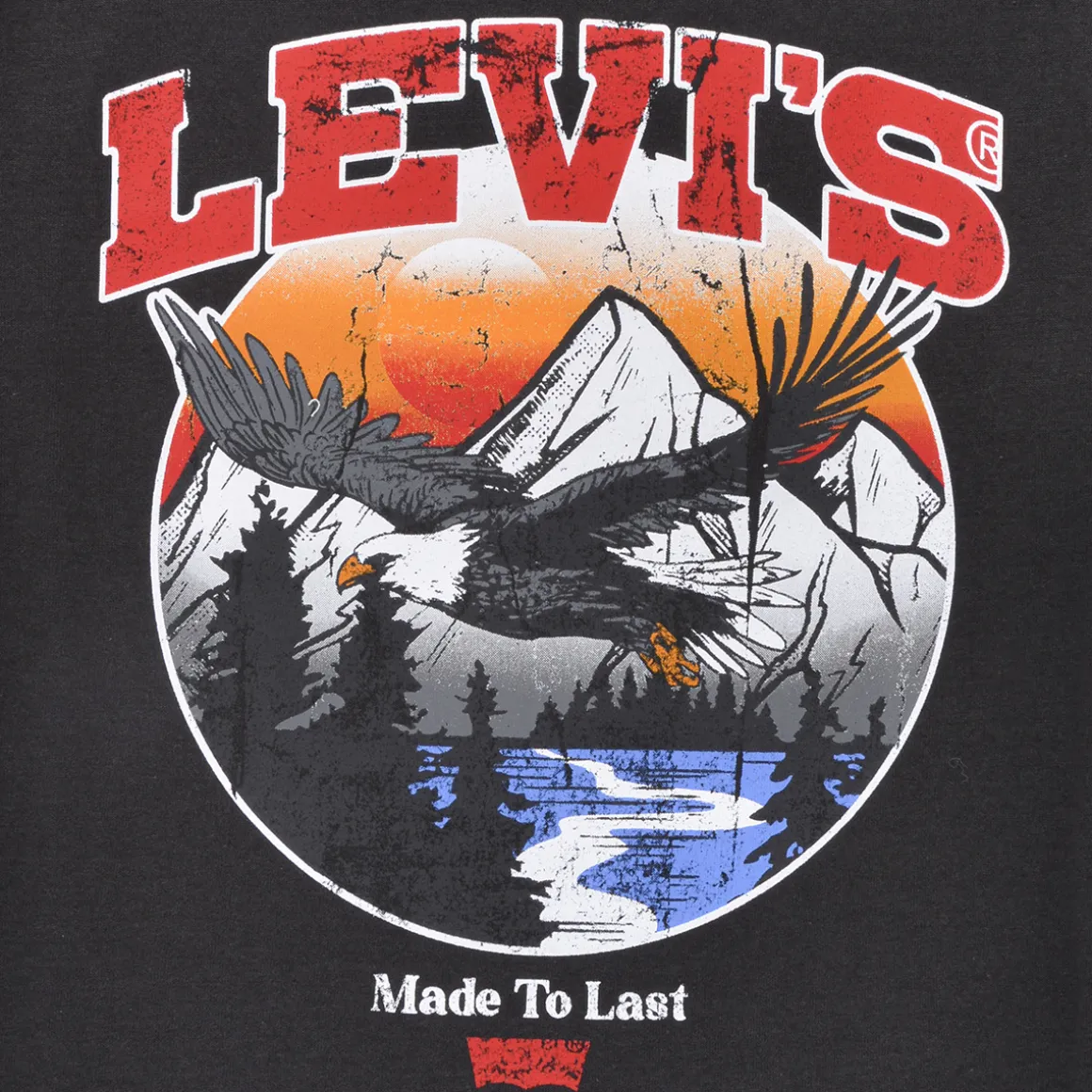 LVB SOAR LIKE AN EAGLE TEE