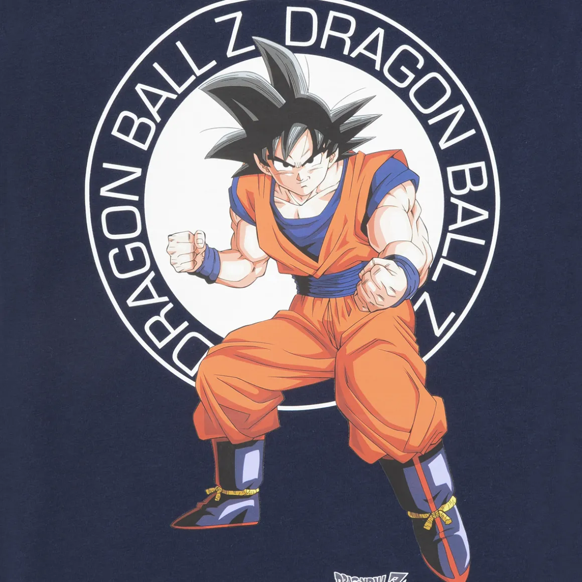 NKMJES DRAGON