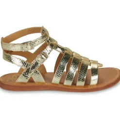 PLAGETTE GLADIATOR