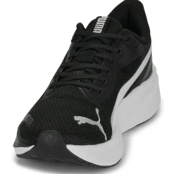 Pounce Lite
