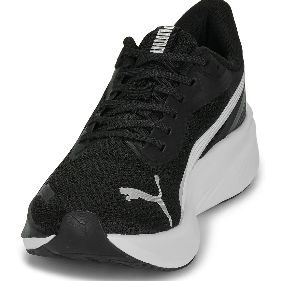 Pounce Lite