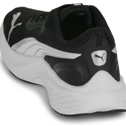 Pounce Lite