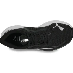 Pounce Lite