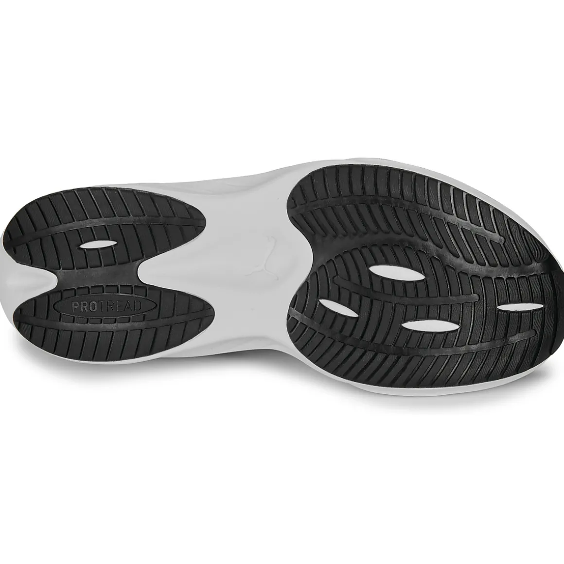 Pounce Lite