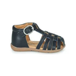 RINE