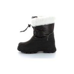 Sealsnow