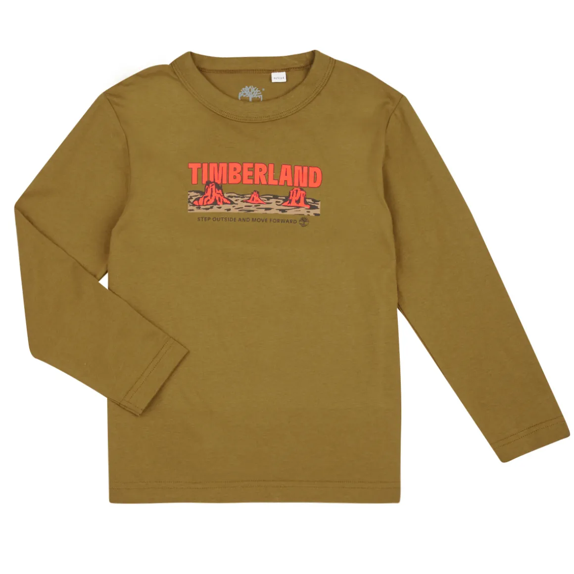 TEE-SHIRT MANCHES LONGUES T60304/64J