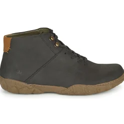 TURTLE N5083
