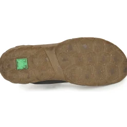TURTLE N5083