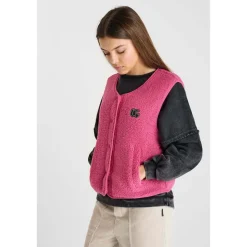 Veste gudrugi