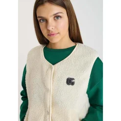 Veste gudrugi