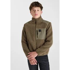 Veste vascobo