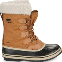 WINTER CARNIVAL WP