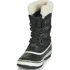 WINTER CARNIVAL WP