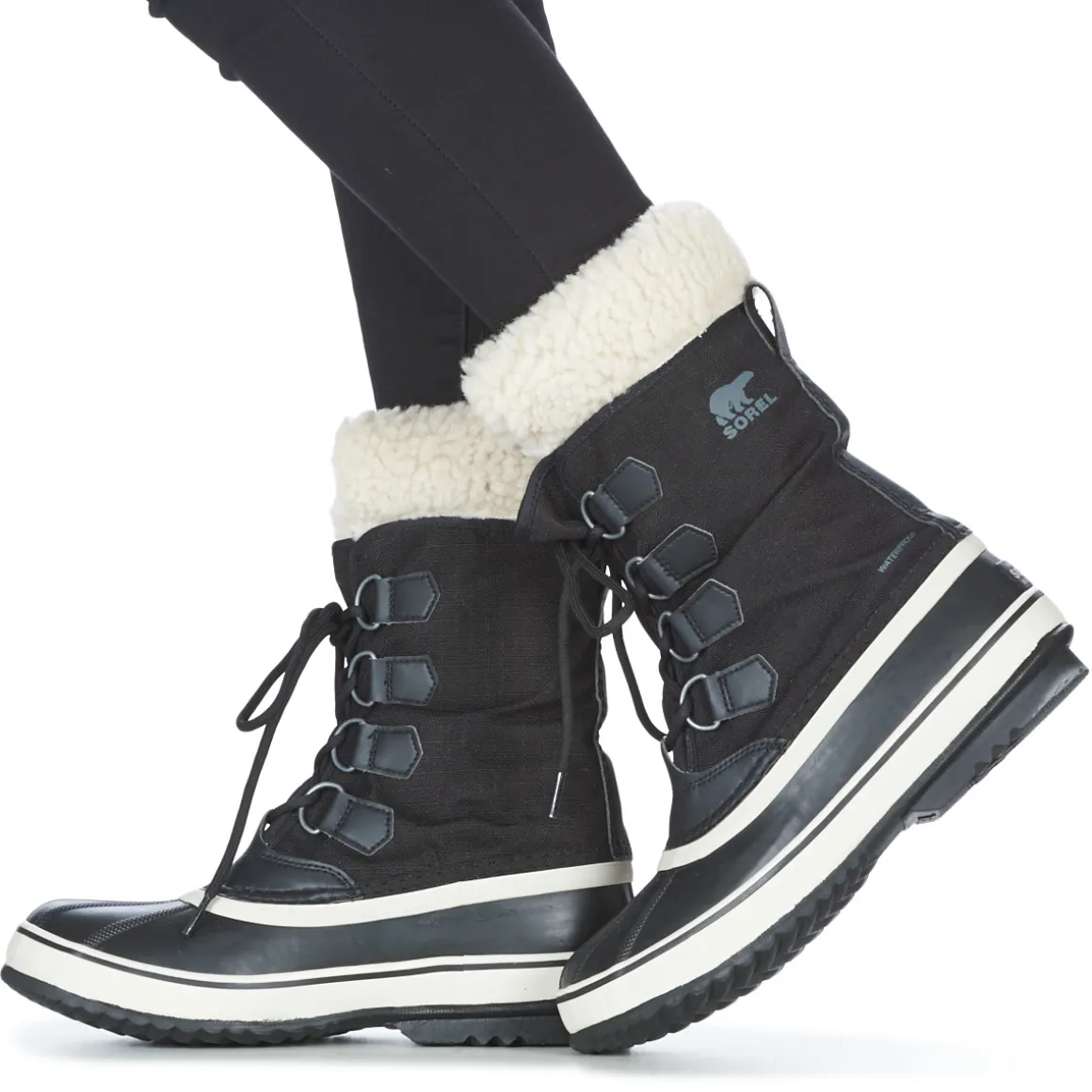 WINTER CARNIVAL WP